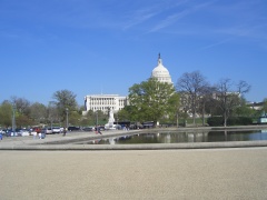20060410-washington-7503.jpg