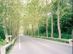 biscaya-20040615-1.jpg