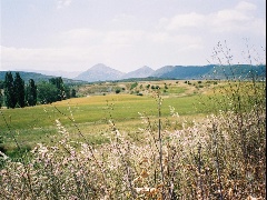 biscaya-20040615-6.jpg