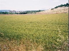biscaya-20040615-7.jpg