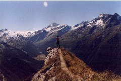 new-zealand.jpg