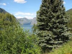 20070706-152910-norway-1532.jpg