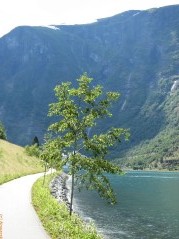 20070706-154402-norway-1540.jpg