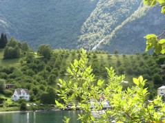 20070706-160130-norway-1543.jpg
