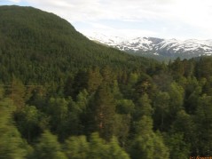 20070706-195758-norway-1599.jpg