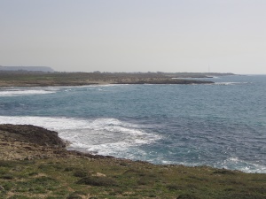 20060303-ha-bonim-6901.jpg
