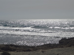 20060303-ha-bonim-6908.jpg