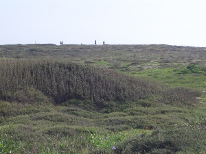 20060303-ha-bonim-6932.jpg