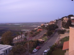20060302-zichron-6855.jpg