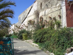 20060303-zichron-6858.jpg