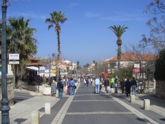 20060303-zichron-6862.jpg