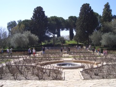 20060304-zichron-ramat-ha-nadiv-6969.jpg