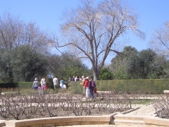 20060304-zichron-ramat-ha-nadiv-6976.jpg