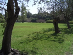 20060304-zichron-ramat-ha-nadiv-6988.jpg