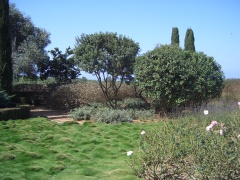 20060304-zichron-ramat-ha-nadiv-6994.jpg
