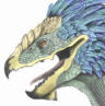 Boga (coloured)