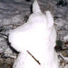 Dog 2