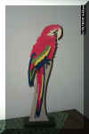 bright parrot.jpg (245565 bytes)