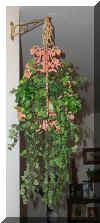 plant_hanger_Small.jpg (21979 bytes)