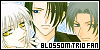 Madbudachi Trio fan! (Fruits Basket)