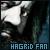  Hagrid fan! (Harry Potter)