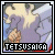 Tetsusaiga fan! (Inuyasha)