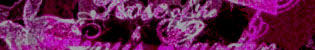 There is a rose in the devil's garden...
