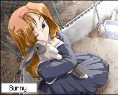 Your ideal pet is a bunny!