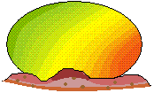 This is my Rainbow Dragon egg. It's not hatched yet, but it will soon! Thus, it does not have a name, but when it hatches, I will give it a lovely name!
