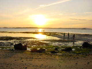 Beautiful sunrise.jpg (15184 bytes)