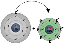Sodium&Chlorine-transfer