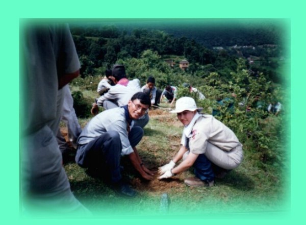 ../Images/plantation1.jpg
