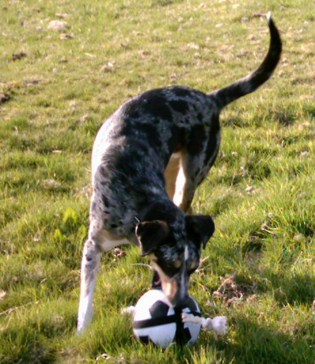 I've got the ball!