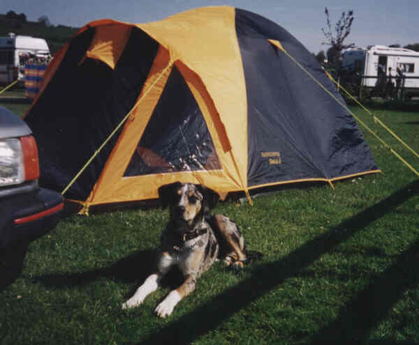I put up this tent all by myself