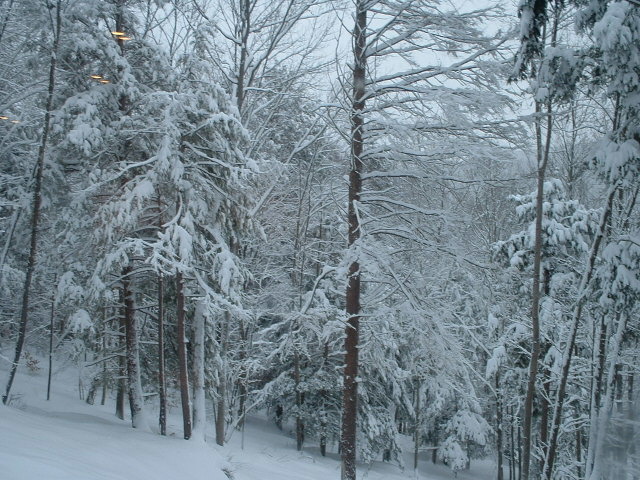 weather.com