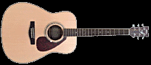 Picture of my guitar.