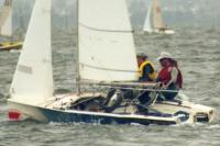 Shark Attack - Final leg, final race, of the 1994/1995 Australian Championships