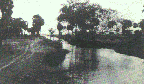 Untitled-16.gif (10609 bytes)