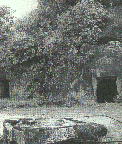 Untitled-3.gif (19462 bytes)