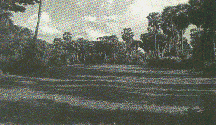 Untitled-5.gif (23954 bytes)