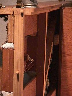 pic 7