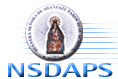 NSDAPS