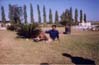 In the garden