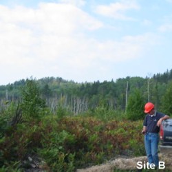 Looking at future sites