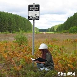 Reviewing Site Information