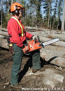 Photo is courtesy of Ontario Forestry Safe Workplace Association (OFSWA)