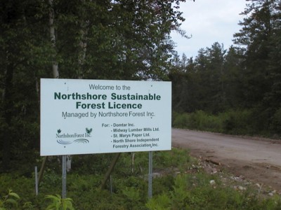 Proud partner of the Sustainable Forest License company