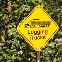 road sign