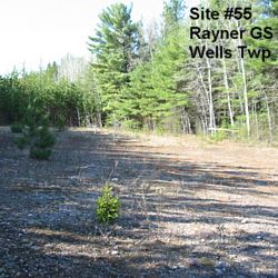 evac site