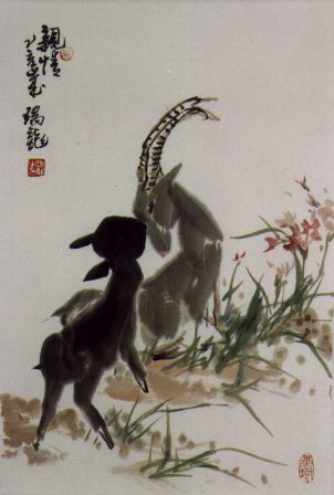 Animals8.jpg (26213 bytes)